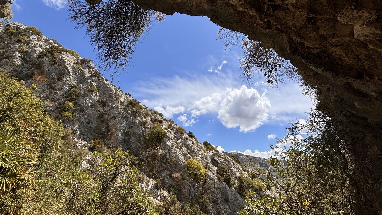 BARRANC DELS GARROFERS, PLANES