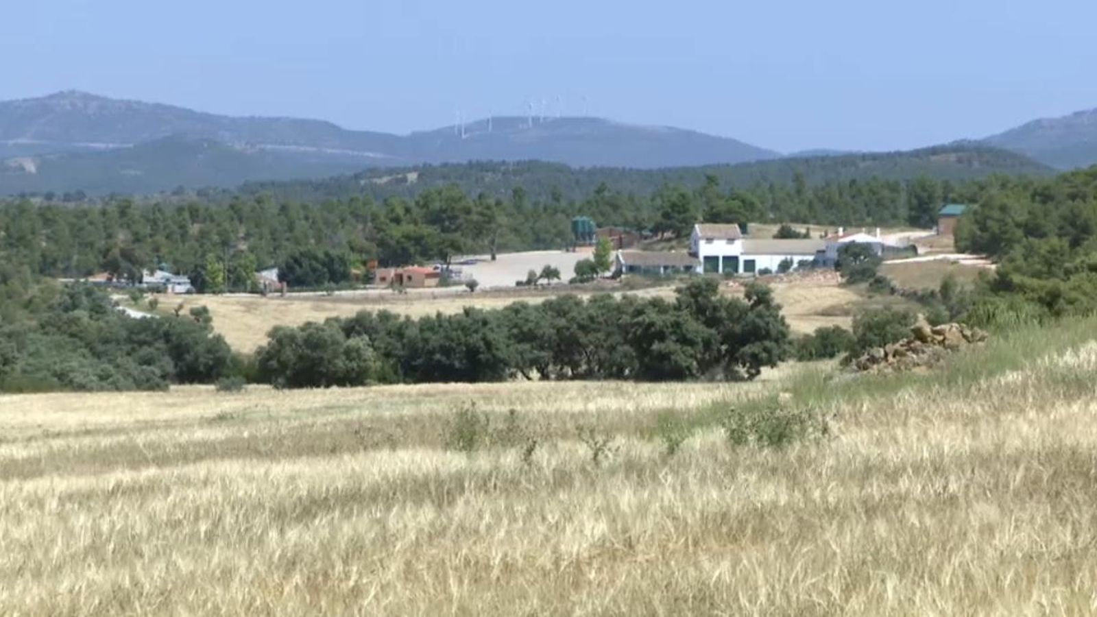 La granja porcina vol passar de 700 a 40.000 caps de bestiar