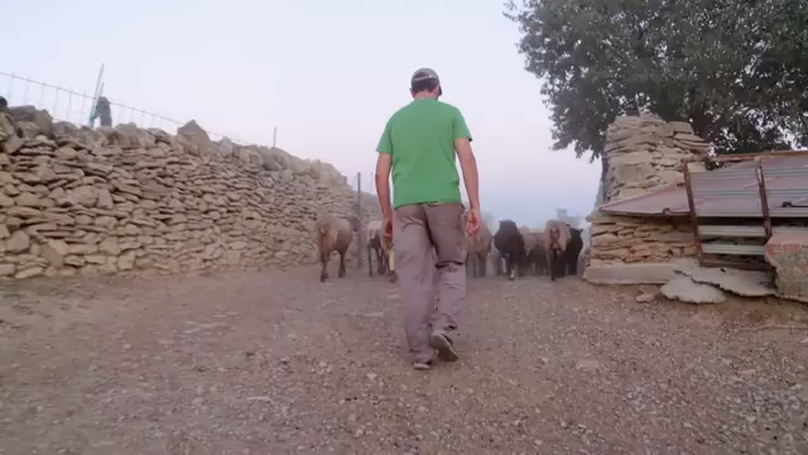 De mar i bancal | Va de plagues