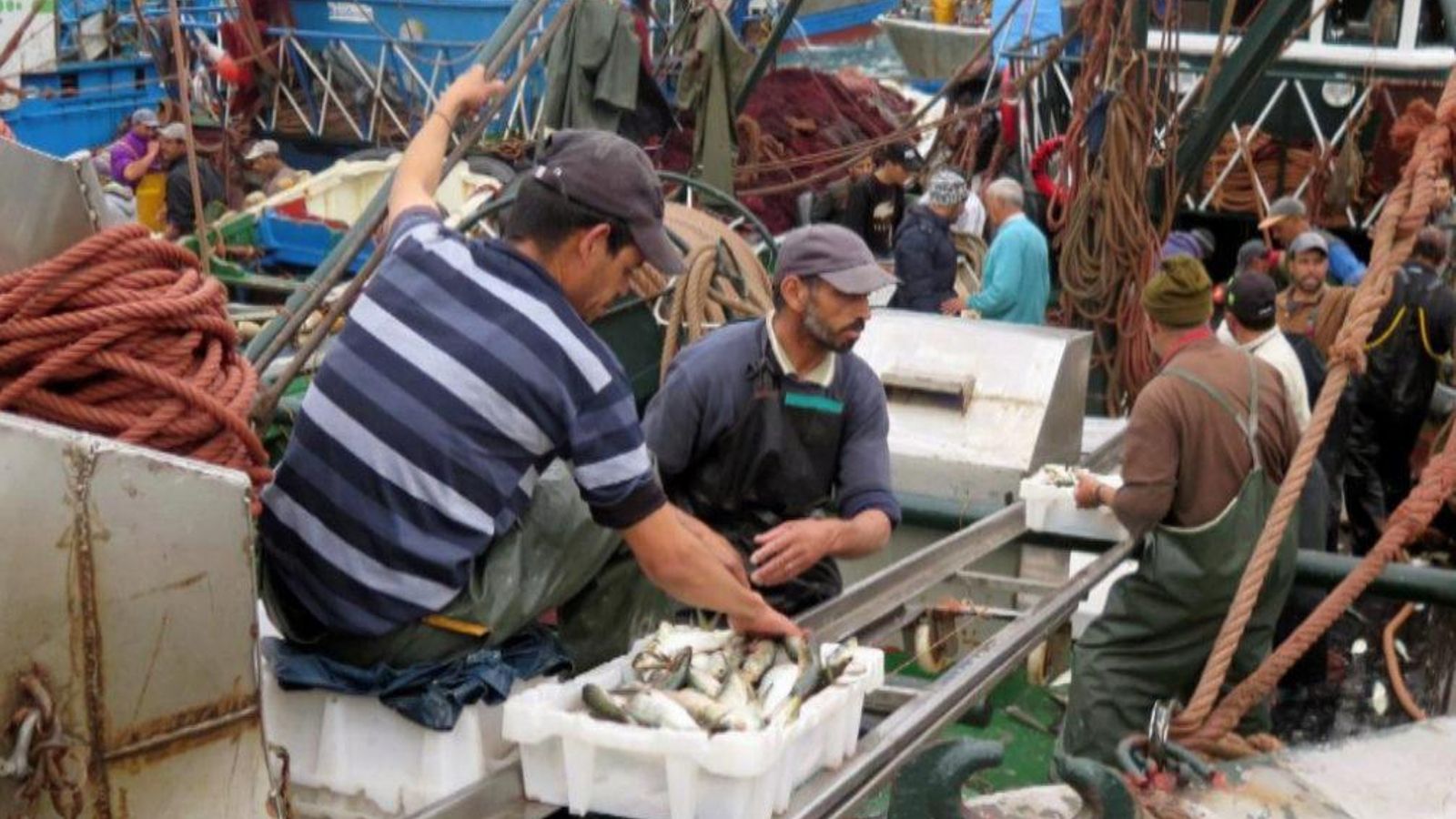 Imatge d'arxiu de pescadors en un vaixell en el port de Dajla, ciutat del Sàhara Occidental ocupada pel Marroc
