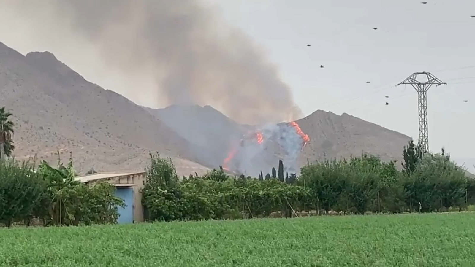 Imatge de l'incendi a Coix (Baix Segura)