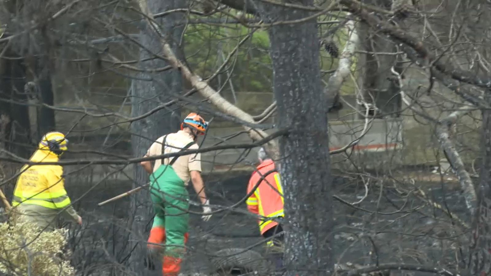 Les brigades d'extinció supervisen, aquest dilluns, la superfície forestal cremada als termes de Rafelguaraf i Barxeta
