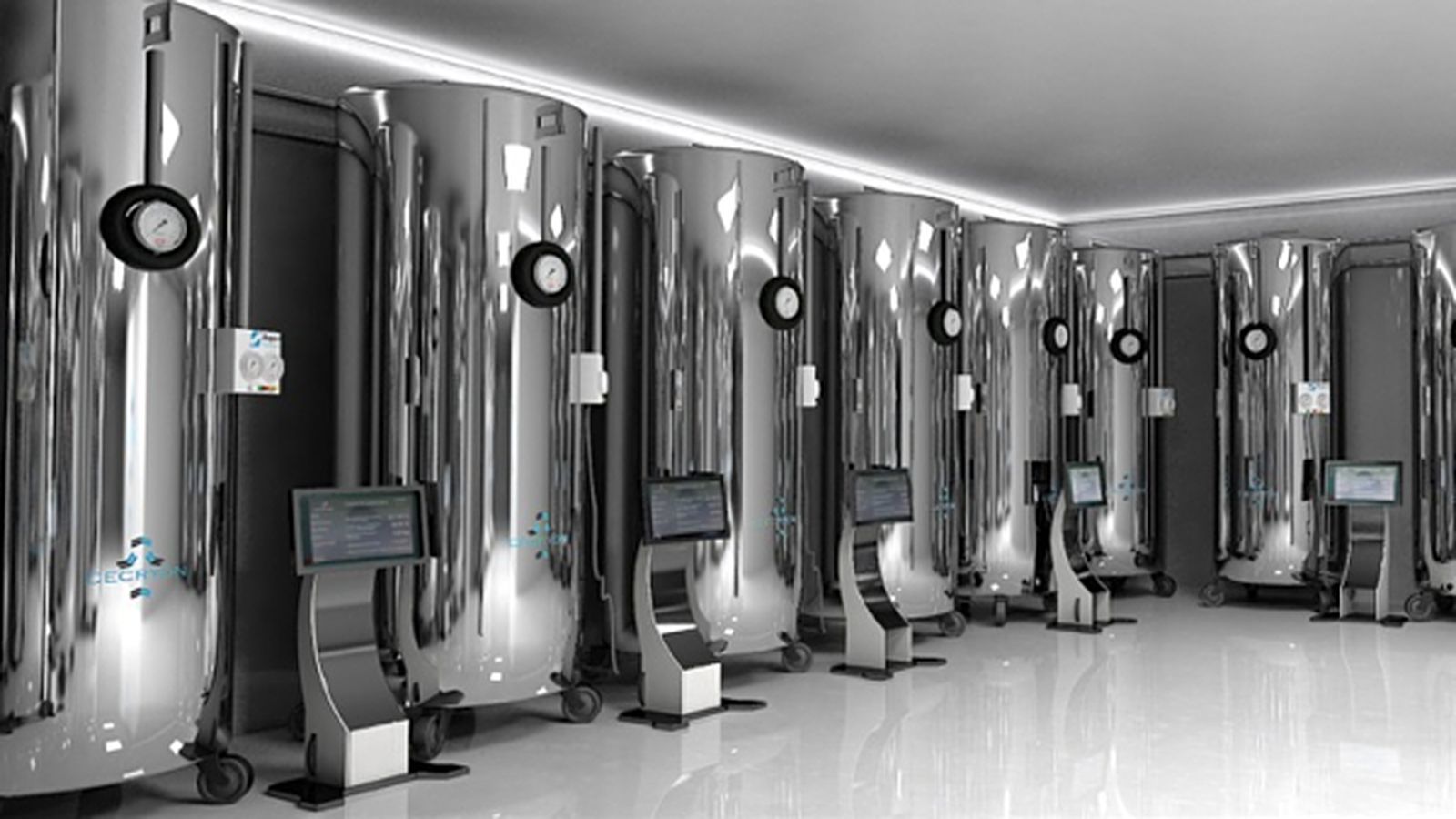 En imatge, les instal·lacions que assegura que tindrà l'empresa quan inicie l'activitat