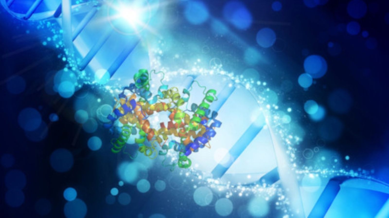 Cartell del congrés