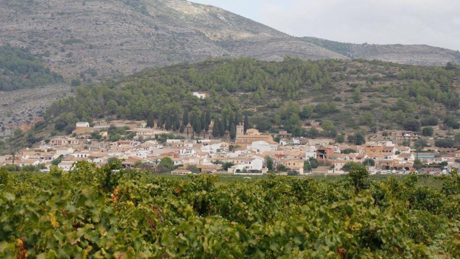 Llíber, a la Marina Alta, és el municipi amb més població sense cap cas de coronavirus