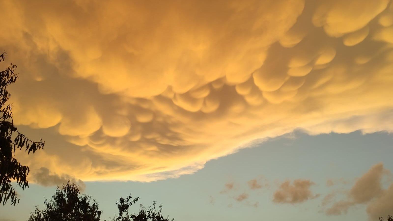 CASAS DE MOYA, LA PLANA D'UTIEL REQUENA