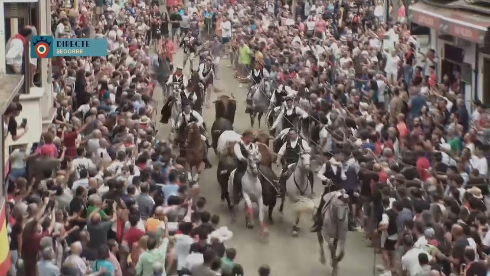 09.09.2026 | Entrada de Bous i Cavalls de Segorbe
