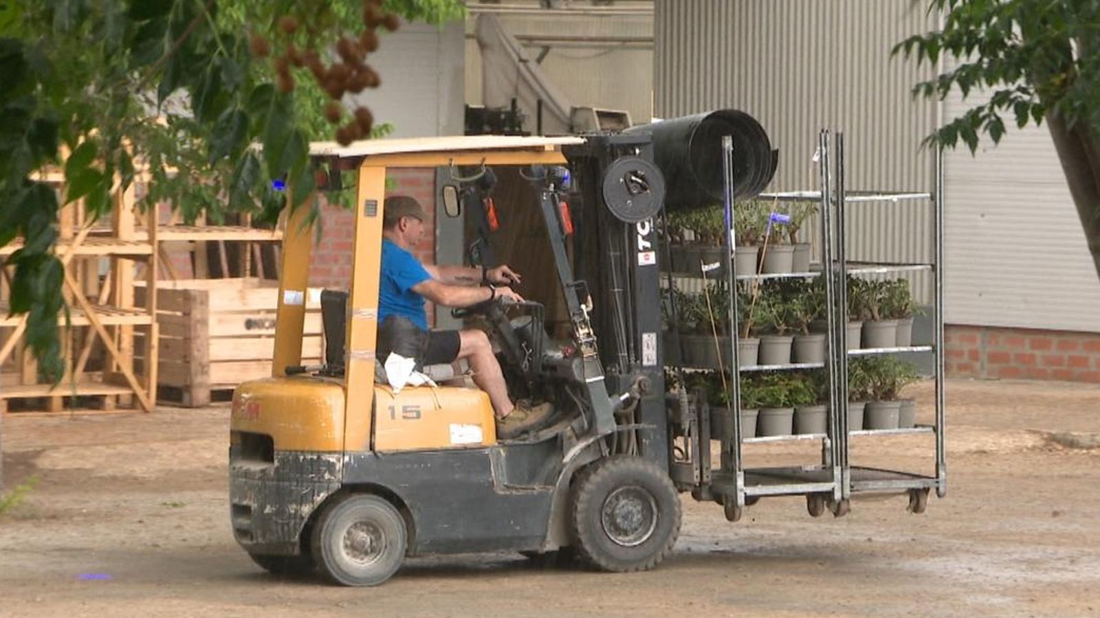 L'Horta Sud experimenta un repunt de baixes per salut mental