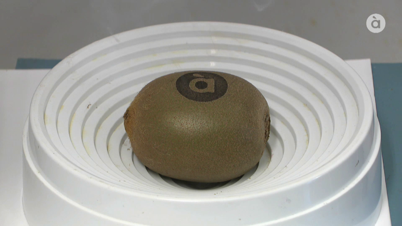 VÍDEO | Una empresa valenciana, líder en etiquetatge ecològic