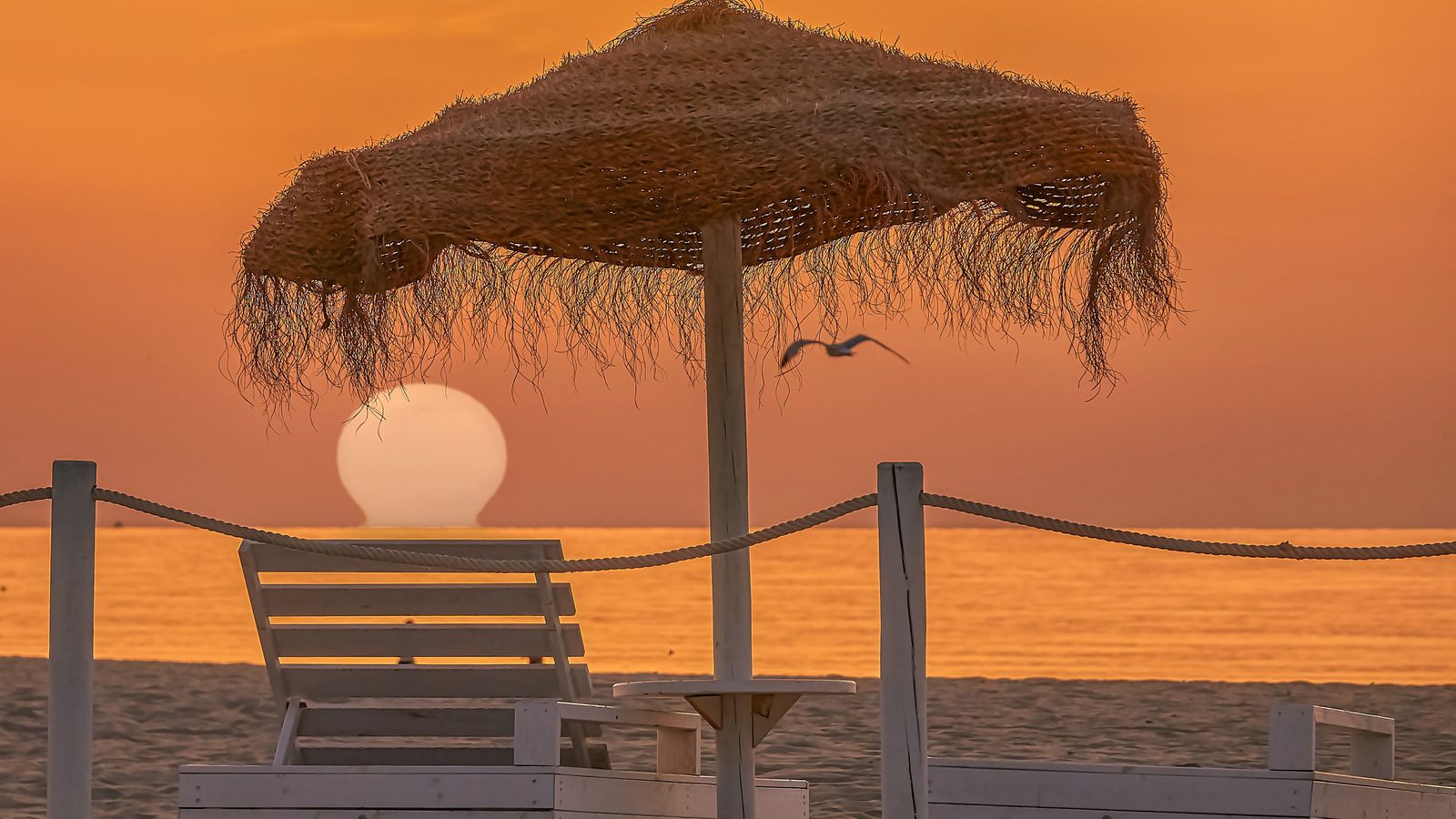 ALBORAIA, L'HORTA NORD