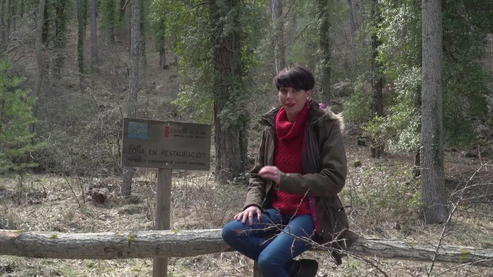 26.07.2018 | La rosseta en extinció, la campaneta de les neus i el futur dels ornitòlegs