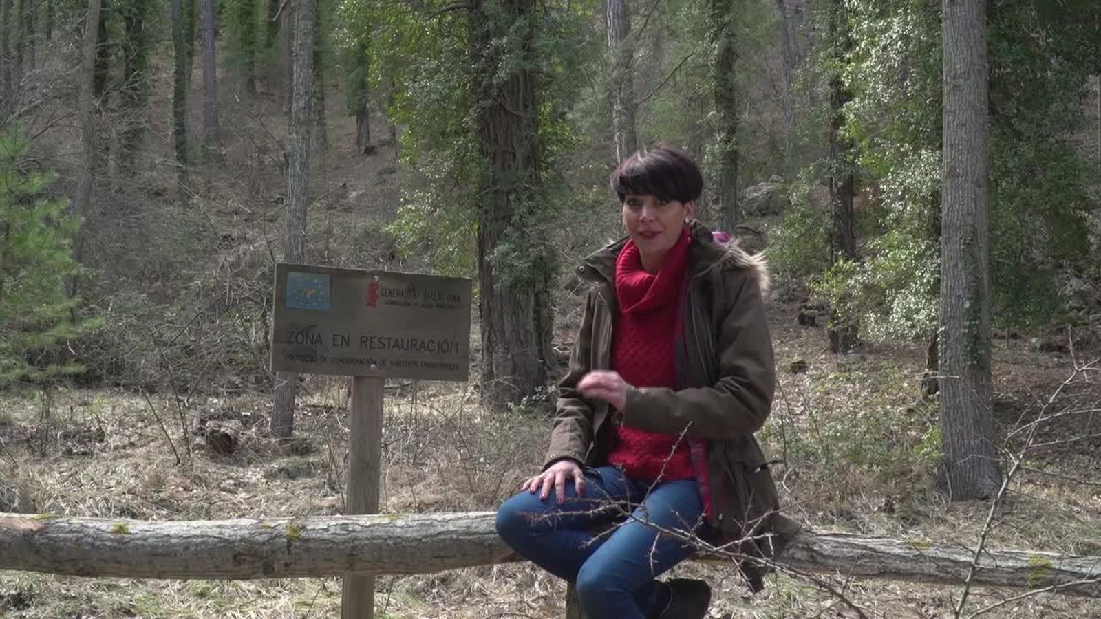 26.07.2018 | La rosseta en extinció, la campaneta de les neus i el futur dels ornitòlegs