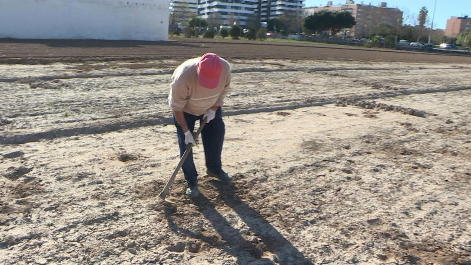 Un llaurador al camp