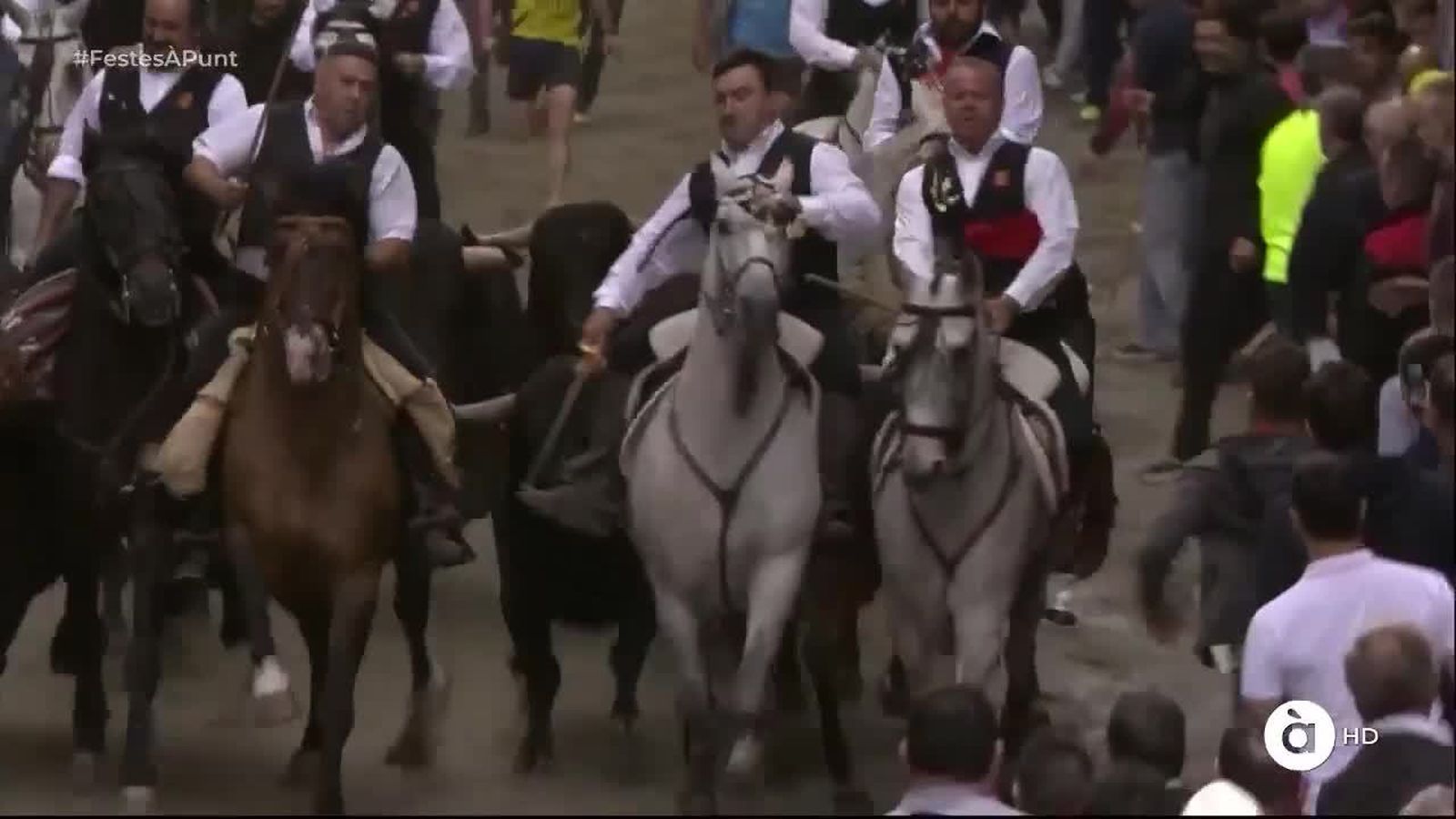 11.09.2019 | Tercera entrada de bous i cavalls de Sogorb