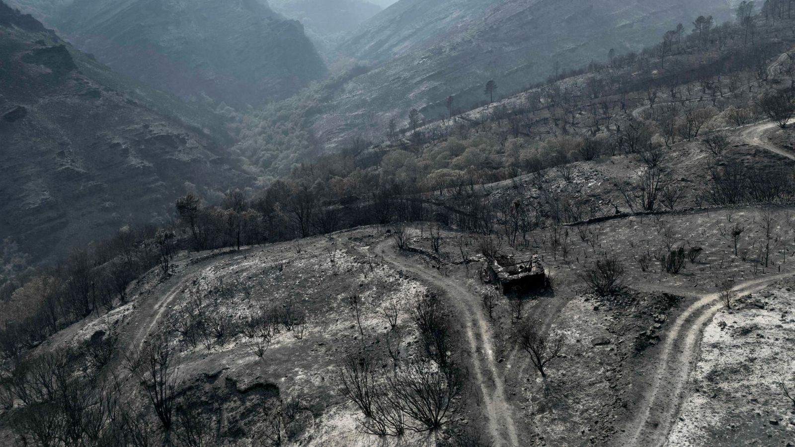 Superfície cremada en el pitjor incendi de la història de Galícia, el de Larouco (Ourense), que ha arrassat 30.000 hectáreas