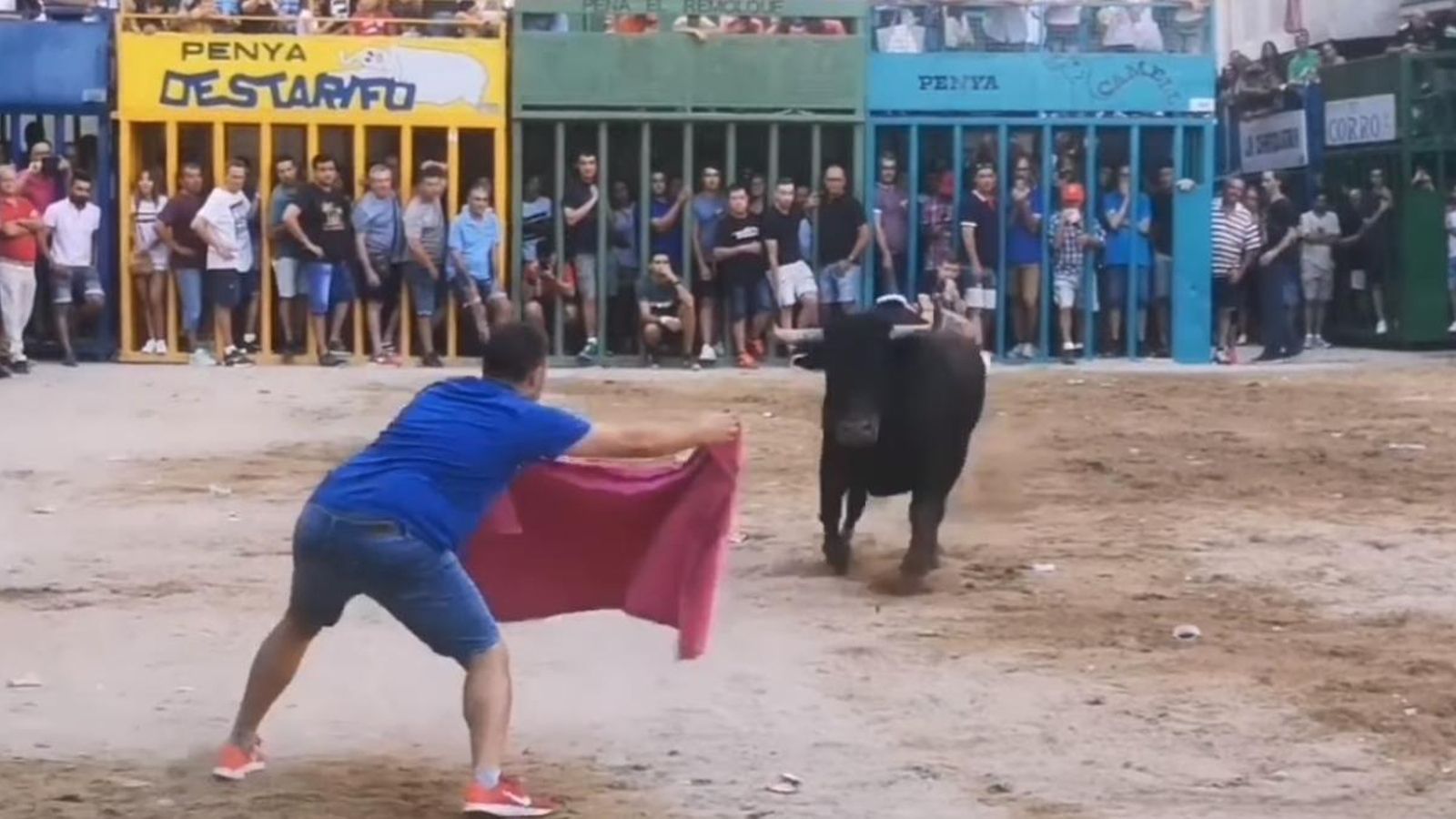 Imatge de les festes de bous al carrer a l'Alcora, aquest passat mes d'agost