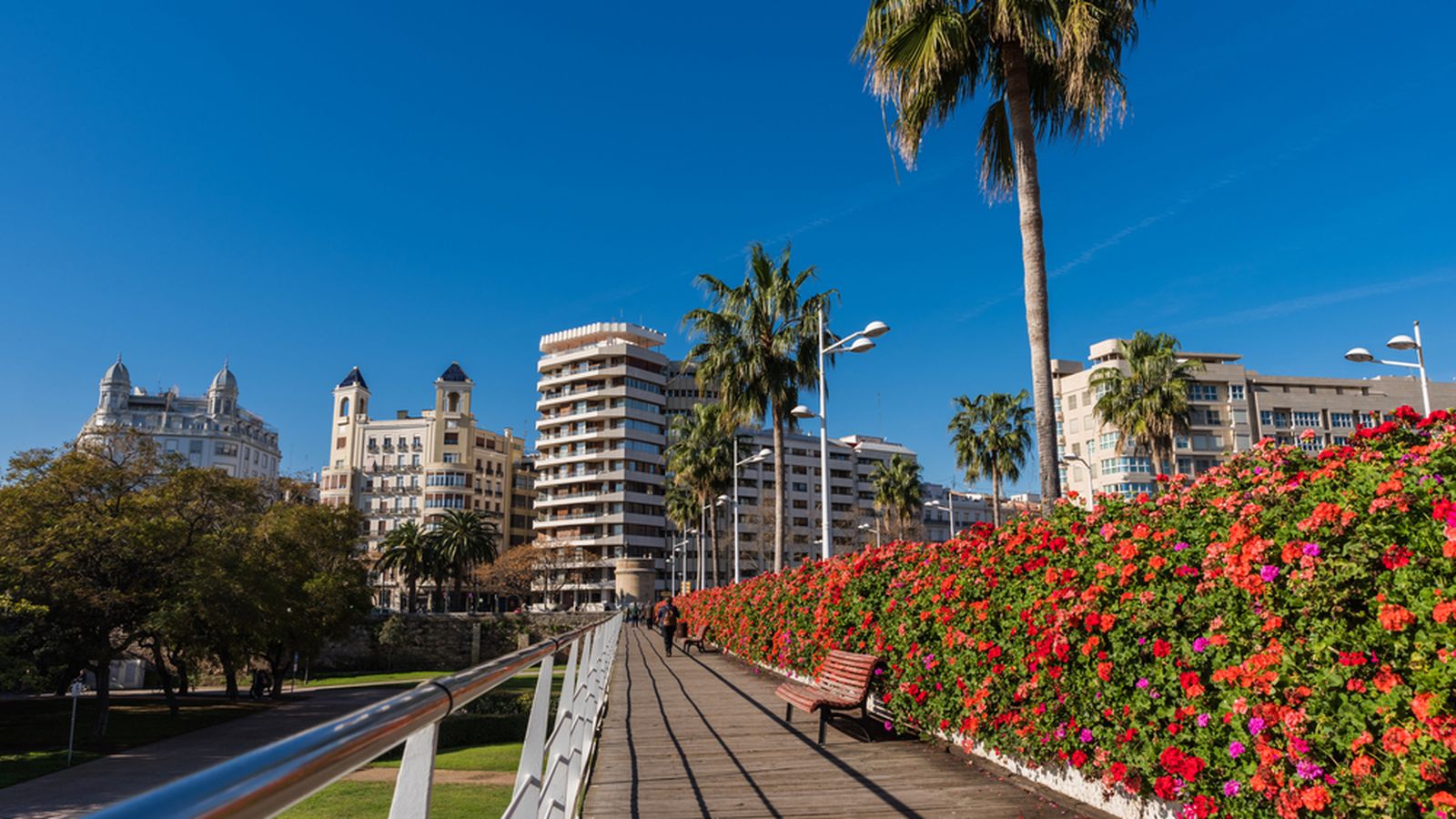 Imatge del pont de les Flors el 2020
