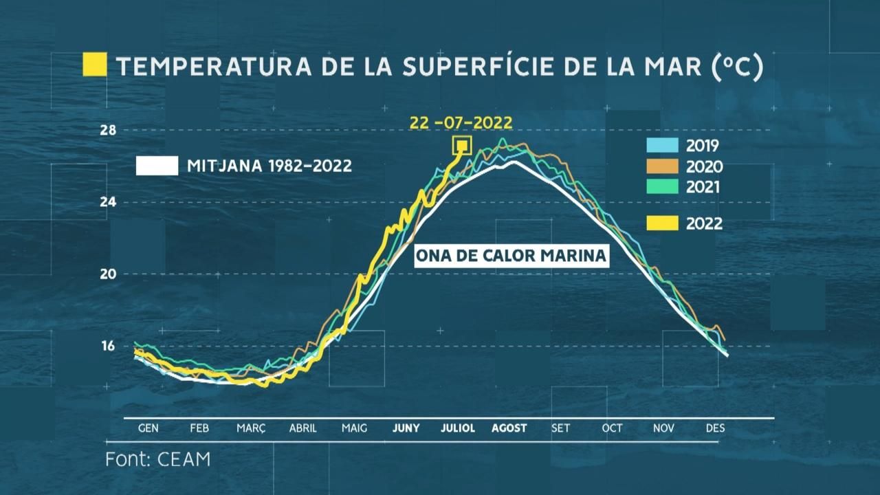 La temperatura de la mar és més alta que els estius anteriors
