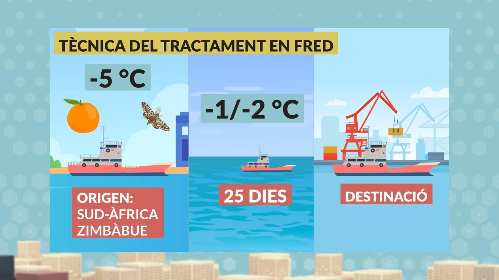 El tractament en fred l'hauran de seguir tots els cítrics procedents de Sud-àfrica i Zimbabue que vulguen entrar en el mercat europeu