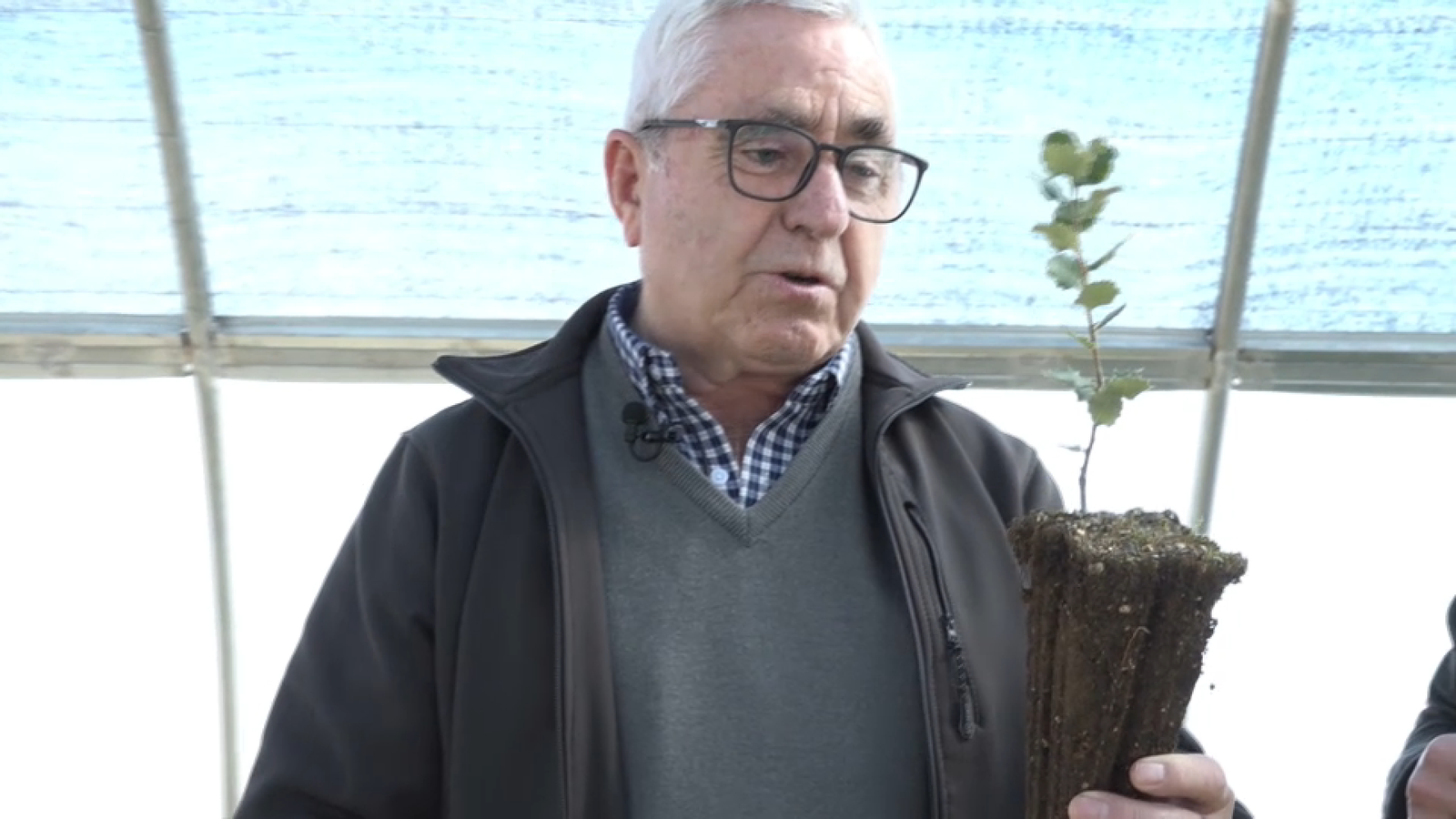 L'especialista en el cultiu de tòfona Eliseo Palomar, de l'empresa Viveros Alto Palancia, en 'La via verda'