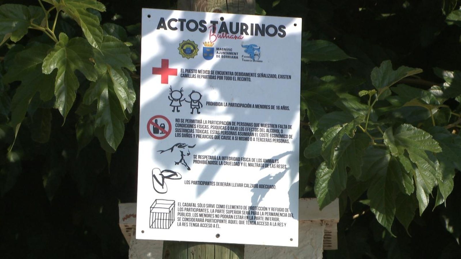 Els menors i aquells que no tinguen plenes capacitats no poden participar en els festeigs taurins