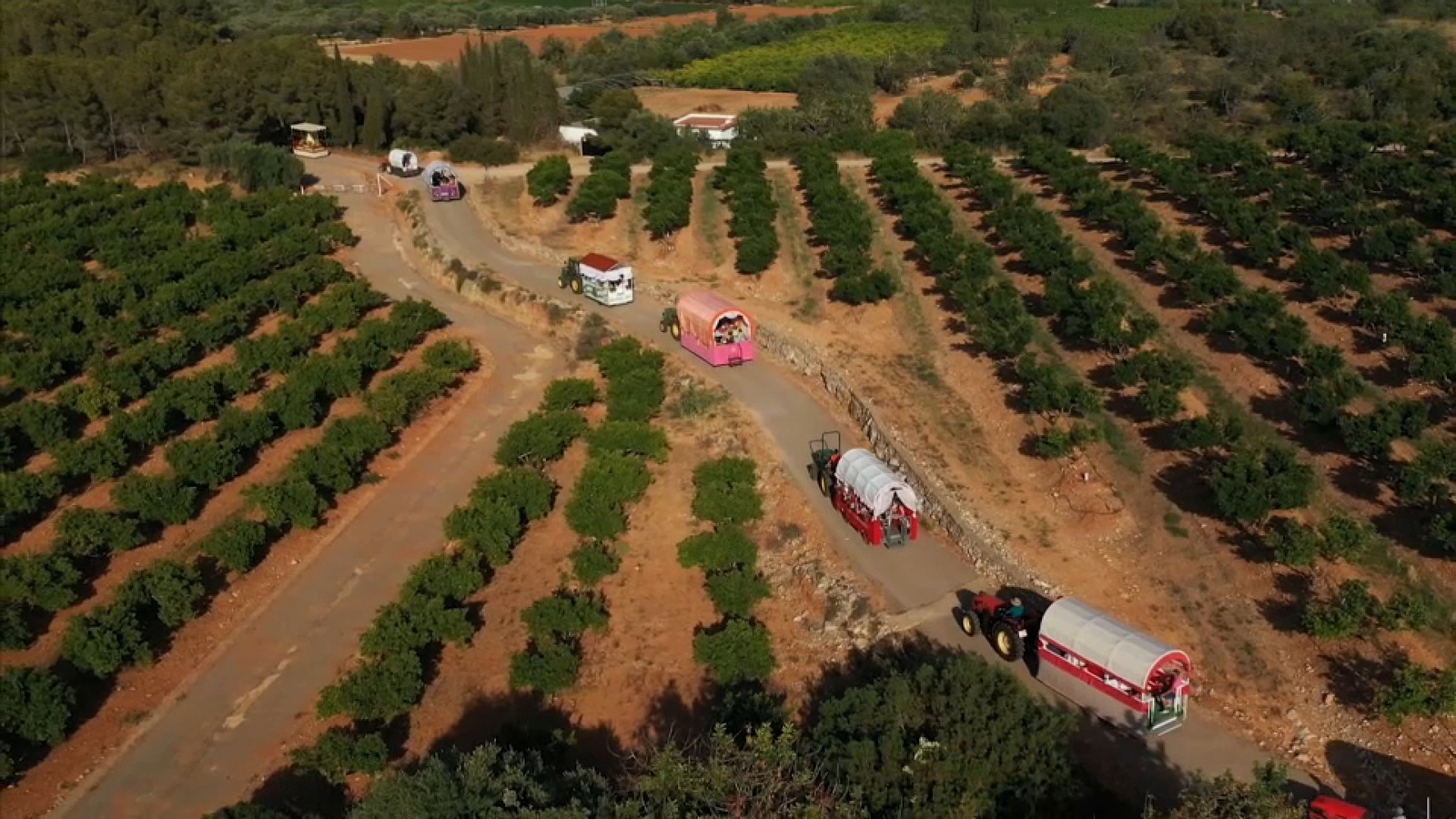 Imatges del camí d'El Rocío que organitza el veïnat andalús de Benicarló