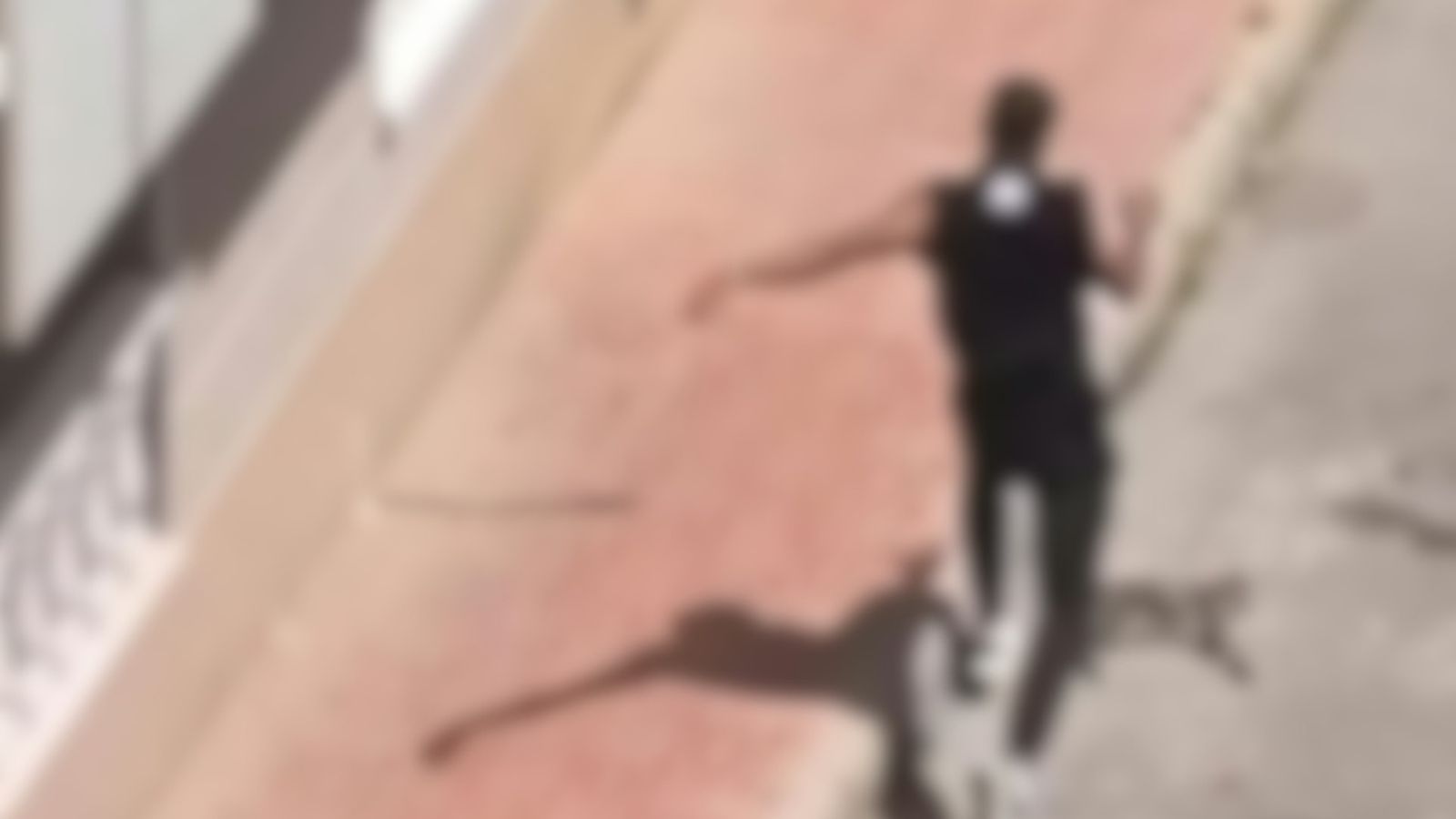 Imagen remitida per PACMA