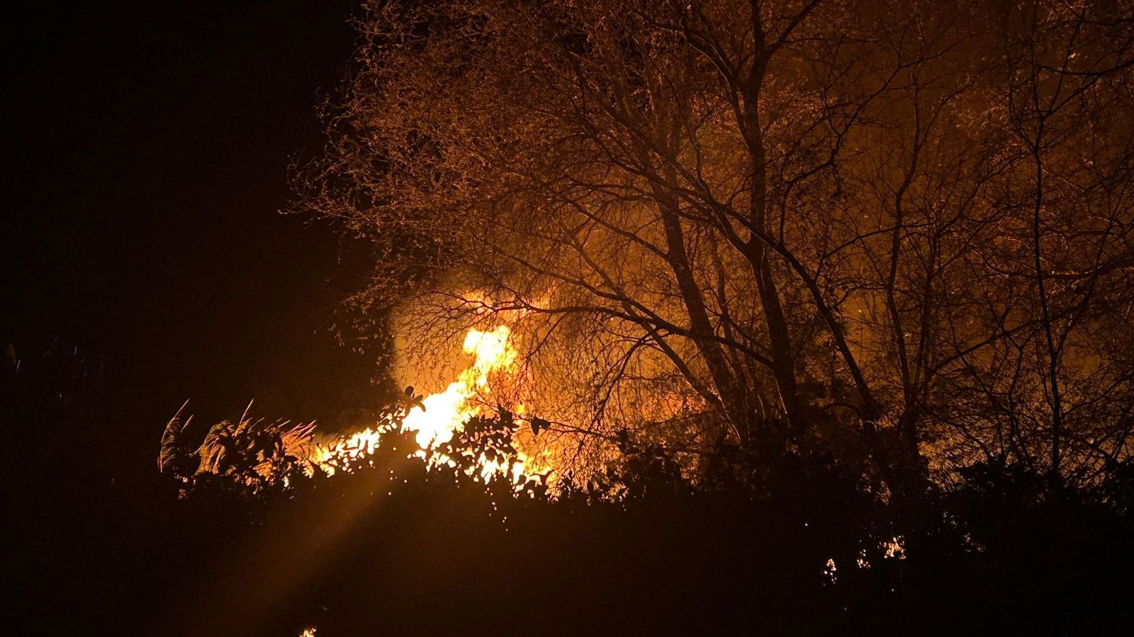 L'incendi, declarat prop del pont de ferro de Carcaixent que travessa el tren, va generar una densa fumeguera