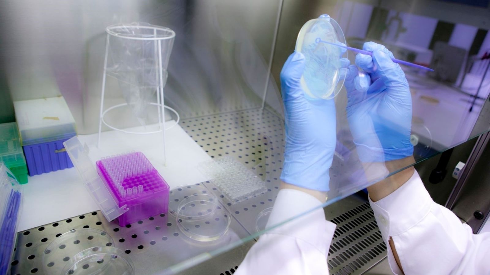 El govern espanyol té previst aprovar hui 100 milions d\'euros per a visibilitzar el talent científic