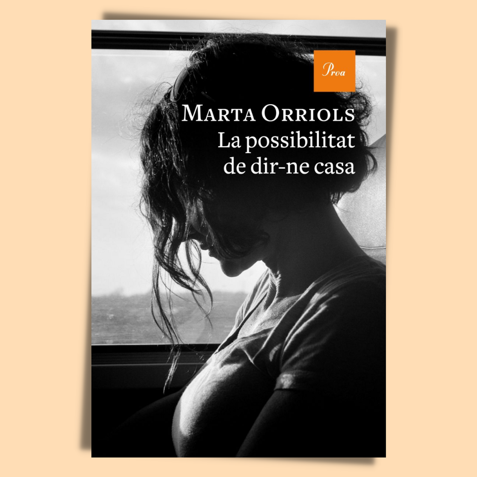 la-possibilitat-de-dir-ne-casa