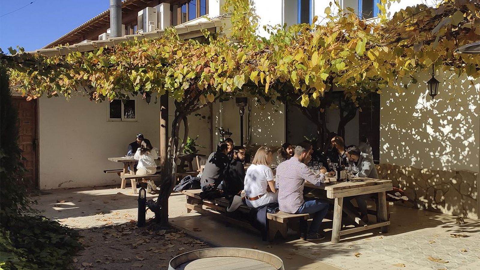 Tast de vins a Pago de Tharsys