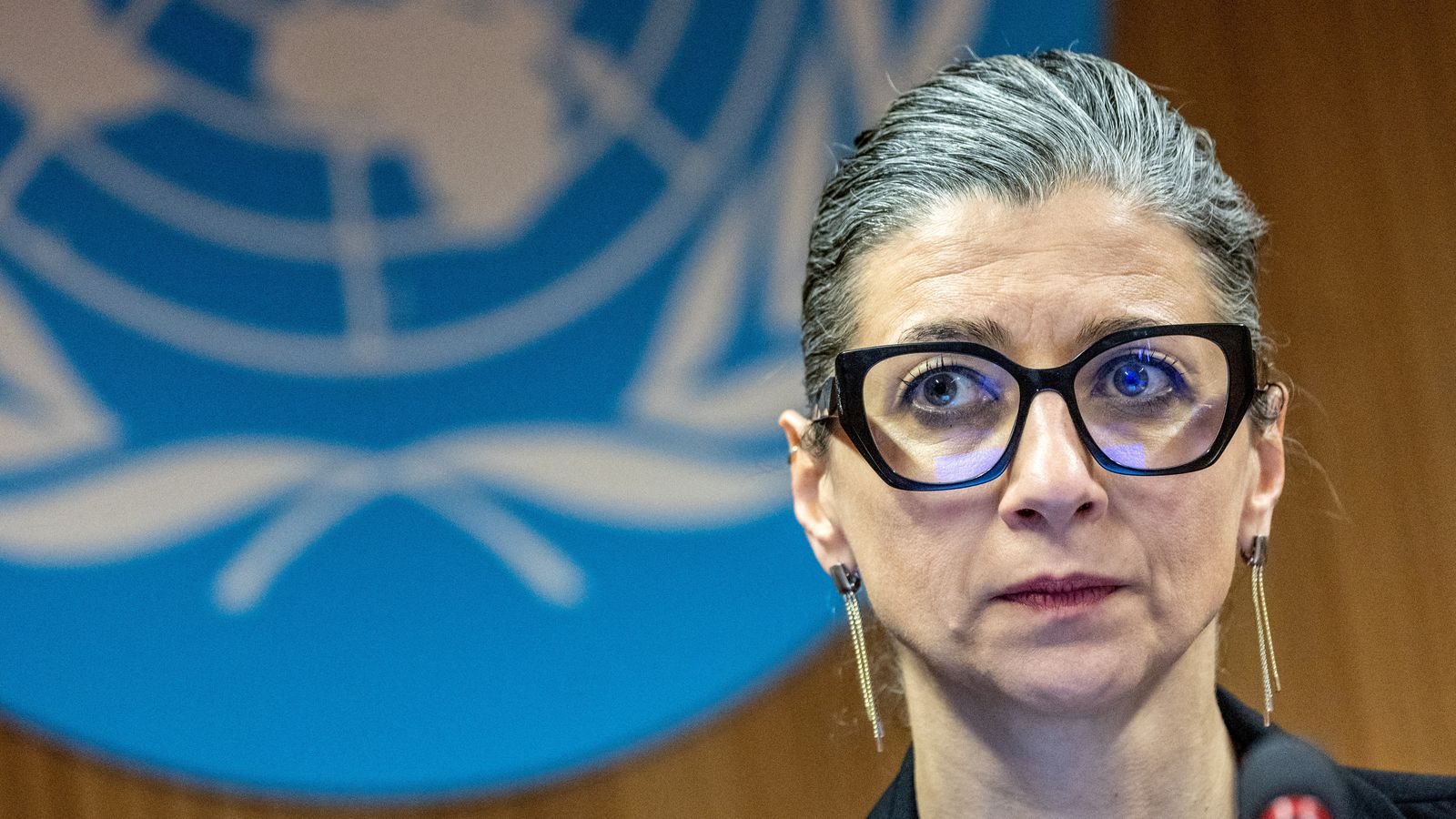La relatora de l'ONU per als Territoris Palestins Francesca Albanese