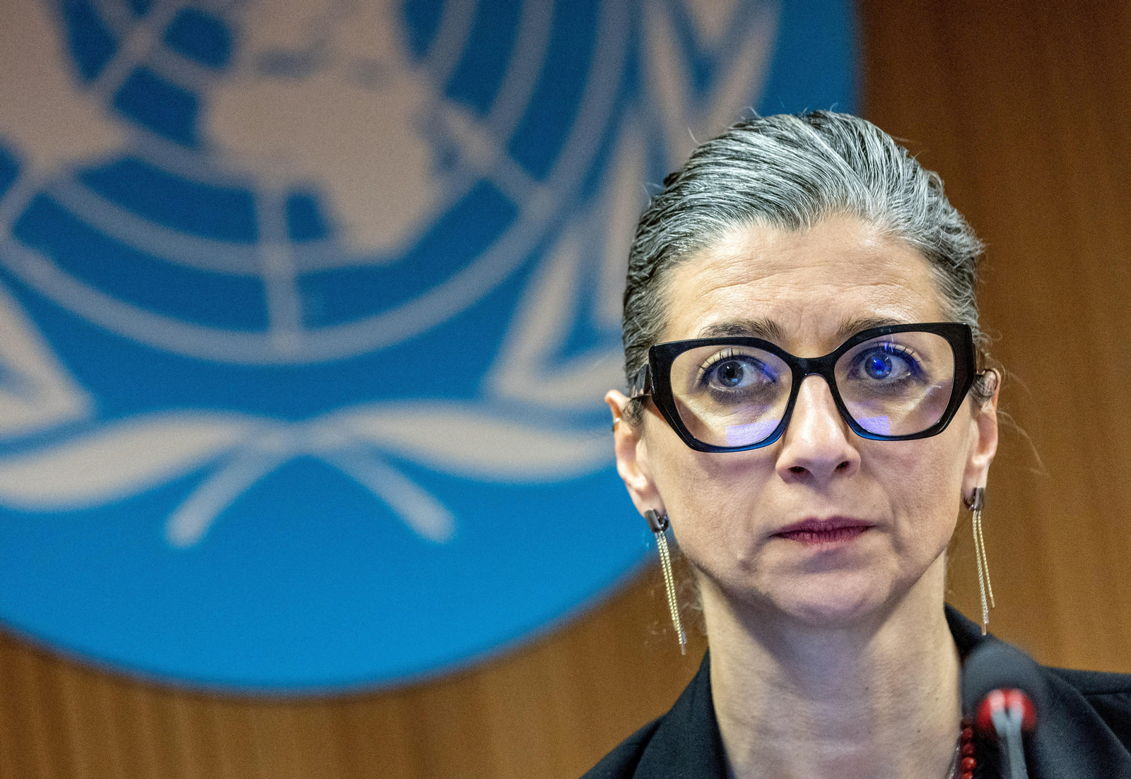 La relatora de l'ONU per als Territoris Palestins Francesca Albanese