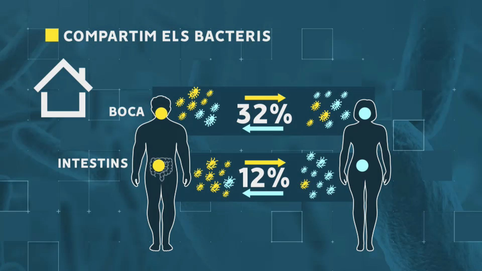 Els humans compartim microorganismes amb les persones amb qui convivim