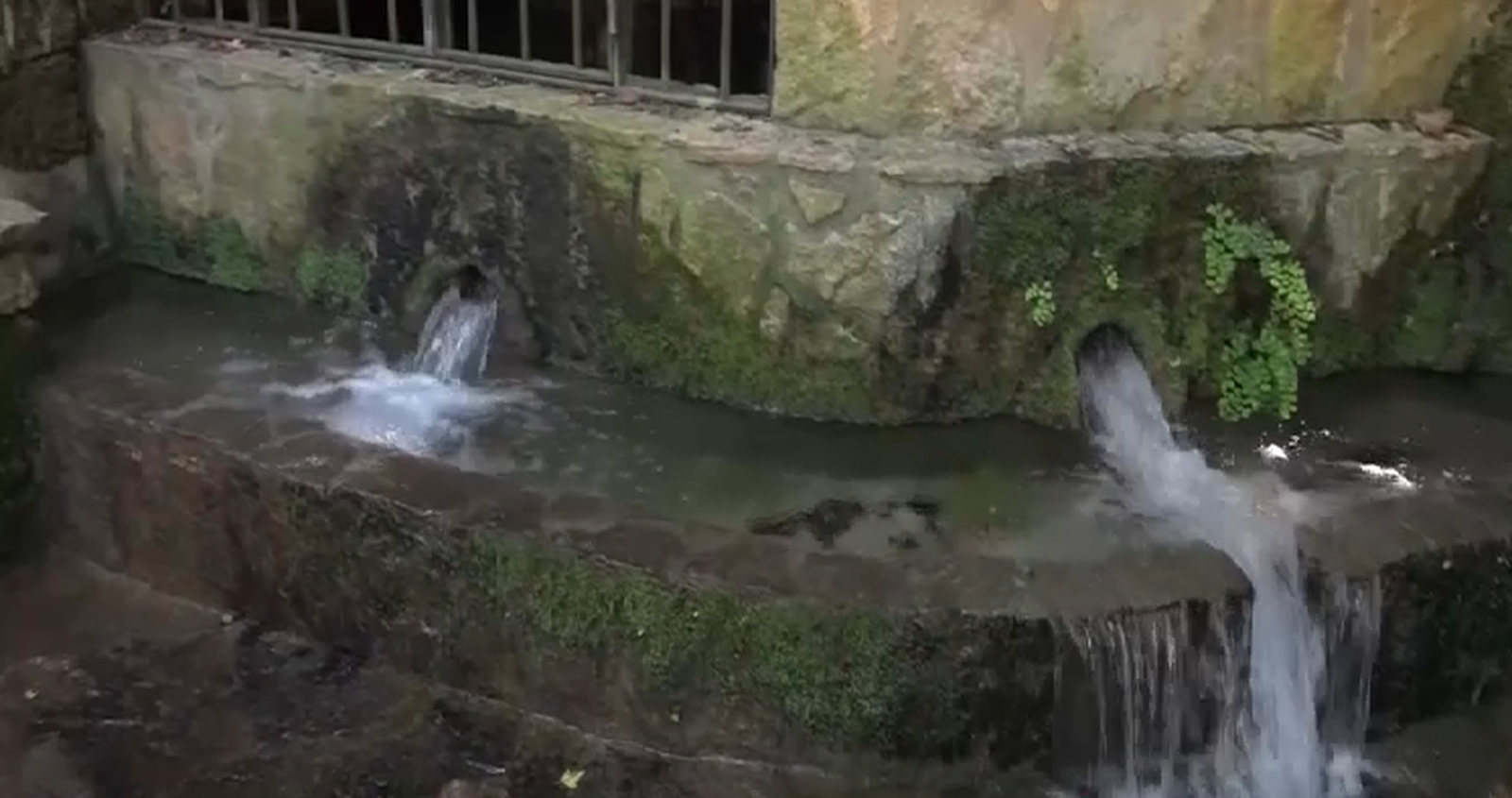 La font de la Higuera