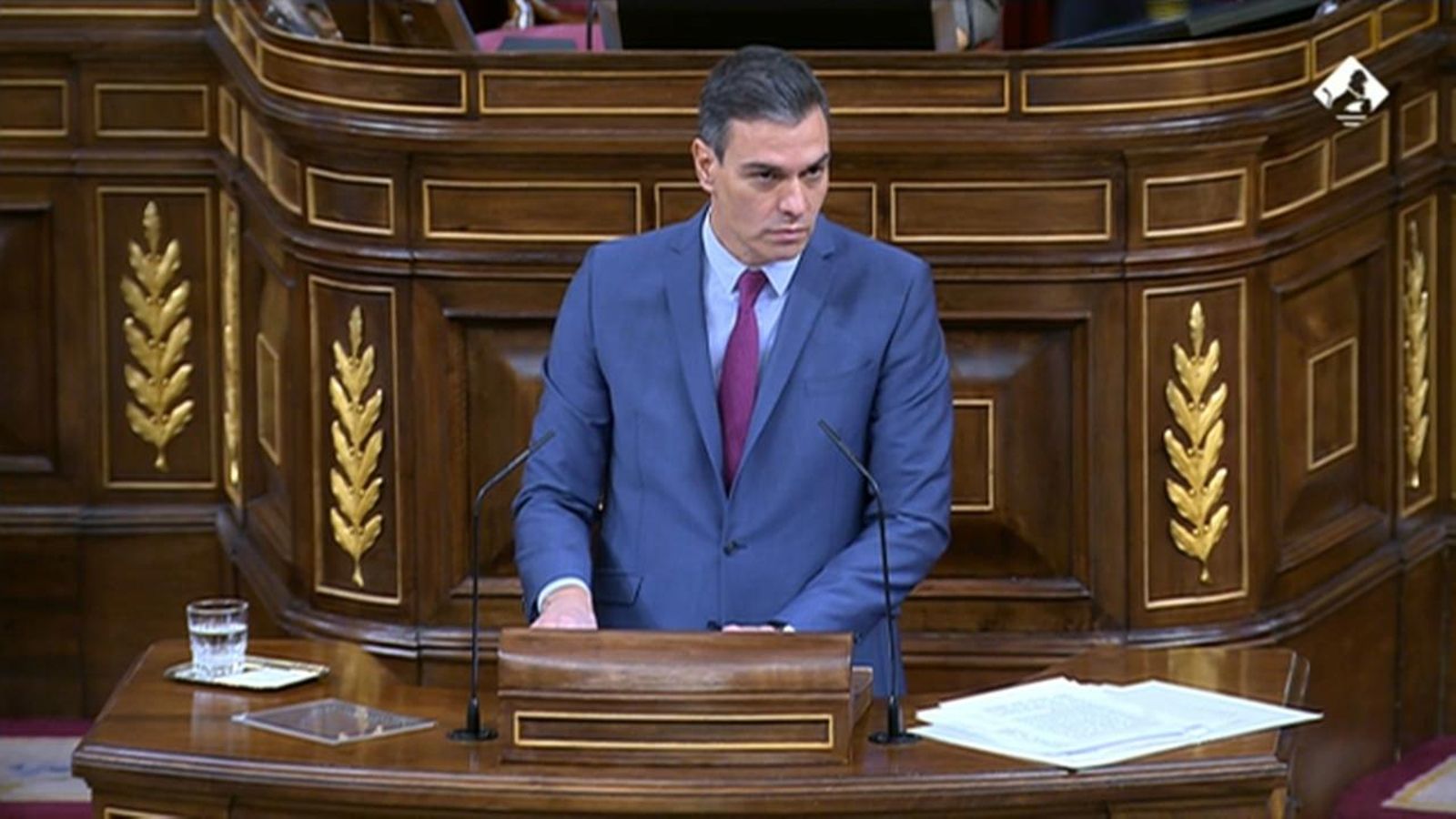 q assignatures govern