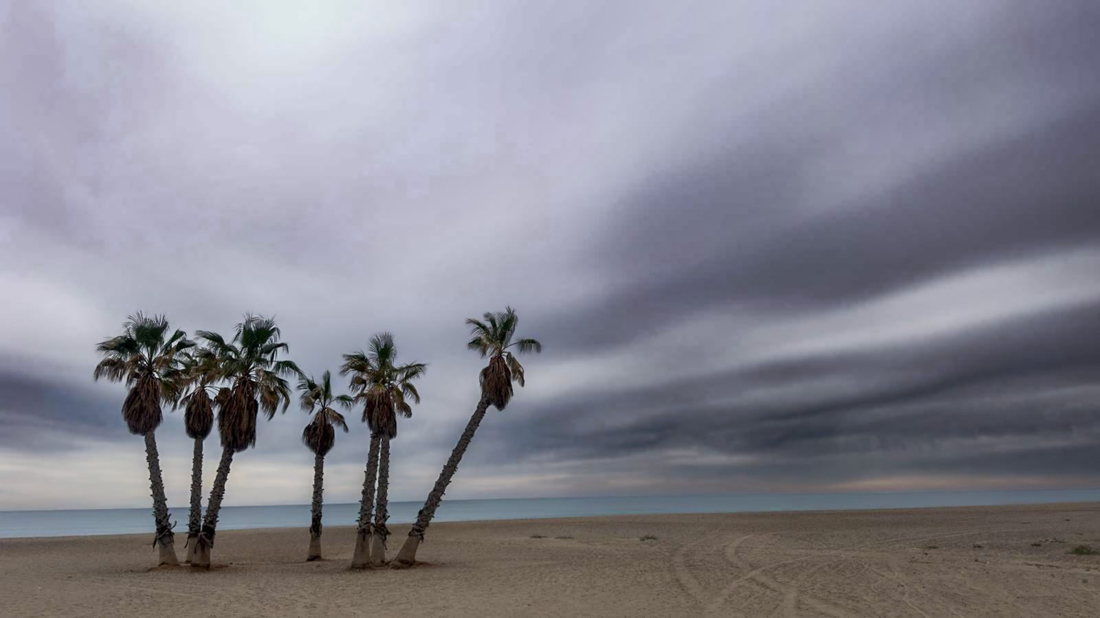 5.MONCOFA, LA PLANA BAIXA, LLUM CABANES