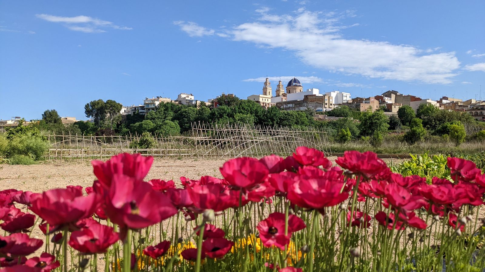 ribaroja turia inma vidal