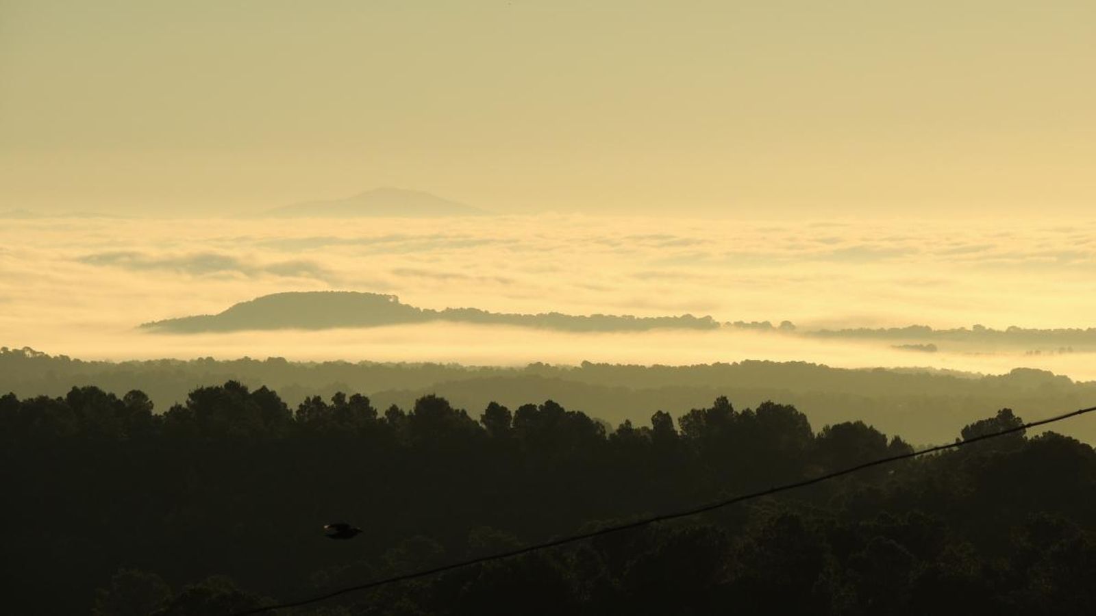 Imatge de Casas de Moya, al terme municipal de Venta del Moro