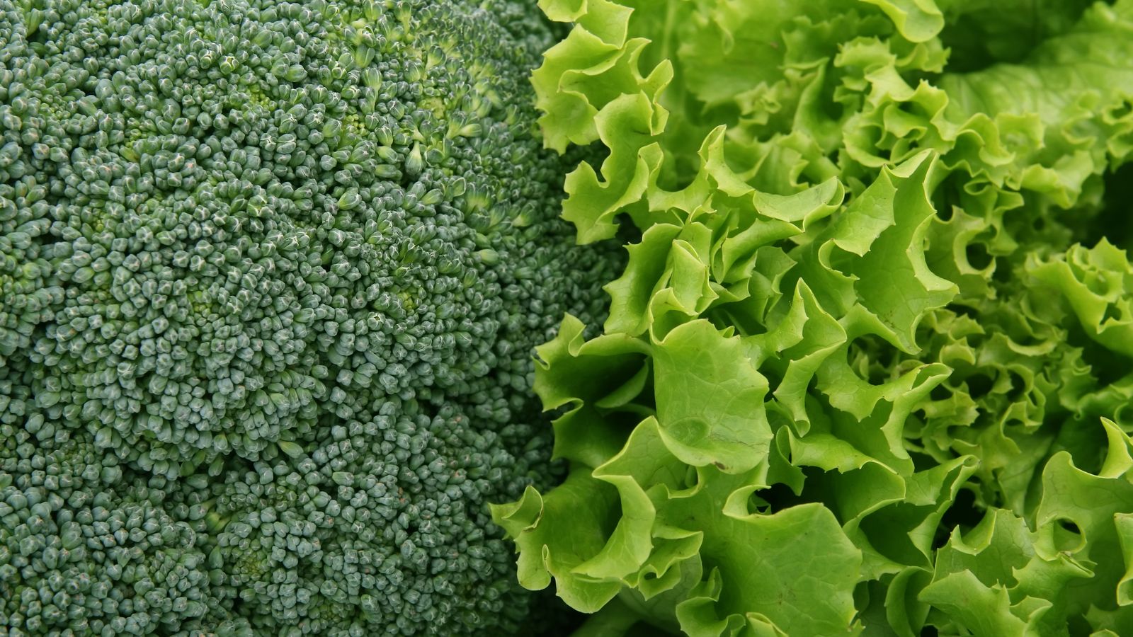 Un producte natural millora el rendiment d'encisam i bròcoli