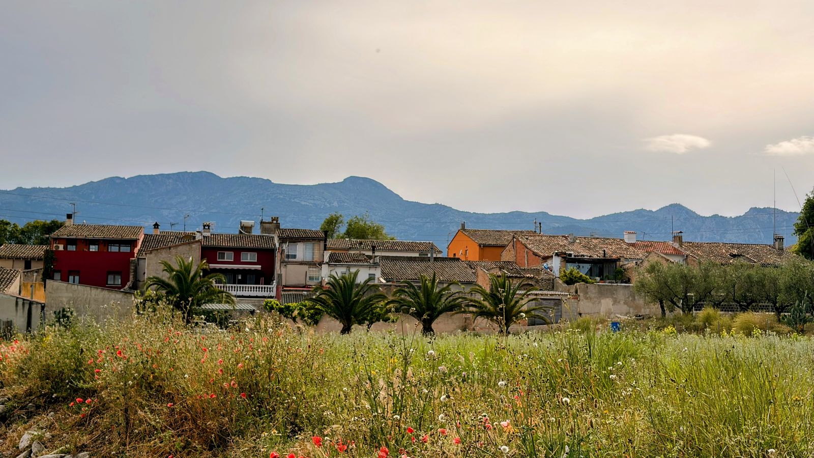 ENCARNA TOMAS, Benàmer, el Comtat