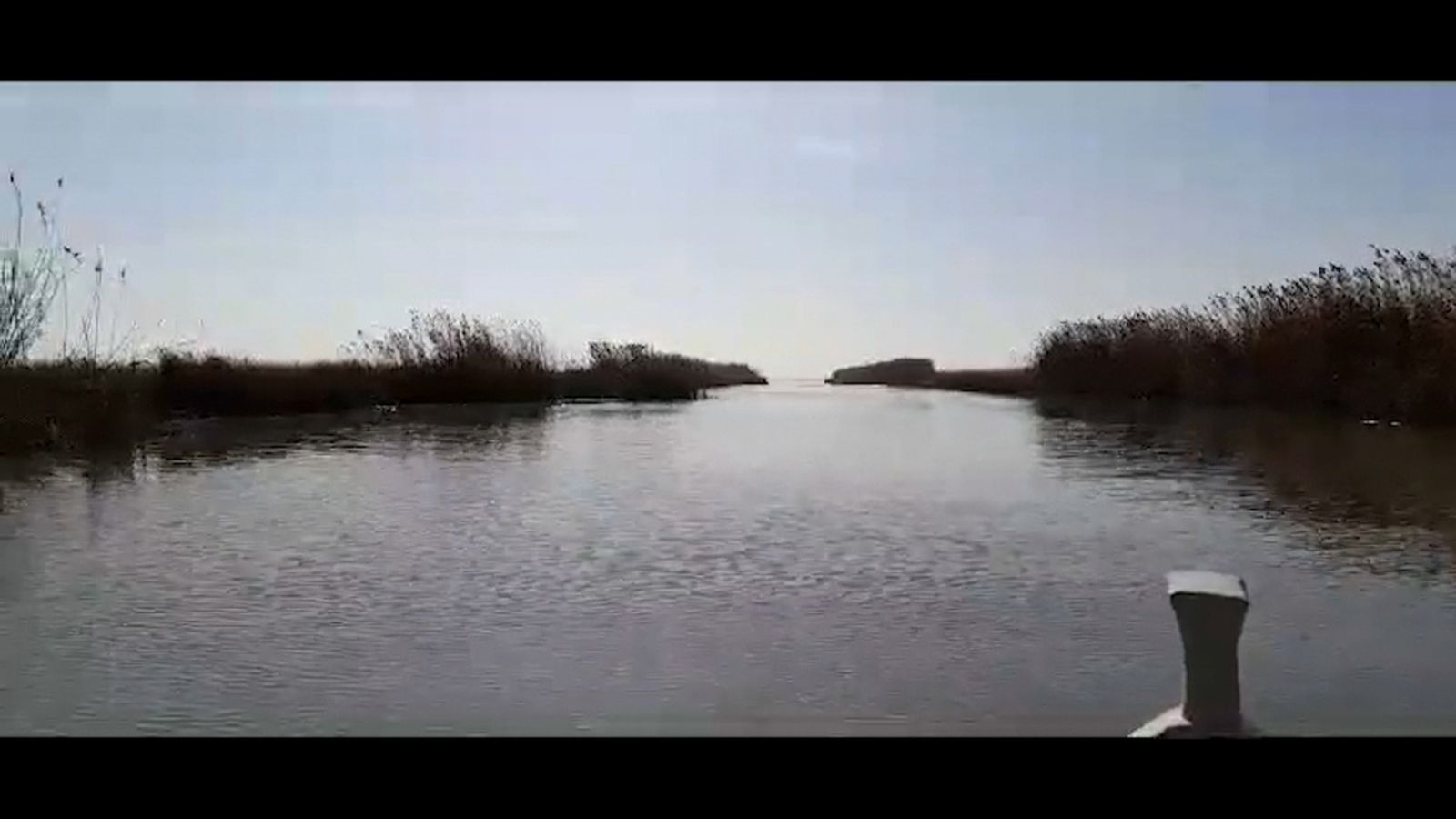 Ecologistes demanen protegir l'Albufera en el Dia Mundial de les Zones Humides