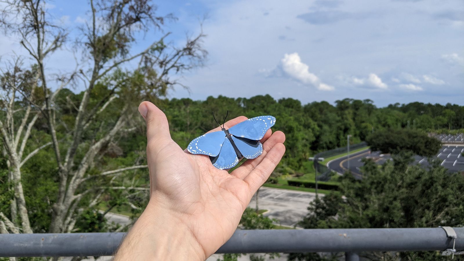 06.06.2023 | Un valencià, en l'equip de la Universitat Central de Florida que investiga una pintura ultralleugera inspirada en les ales de les papallones