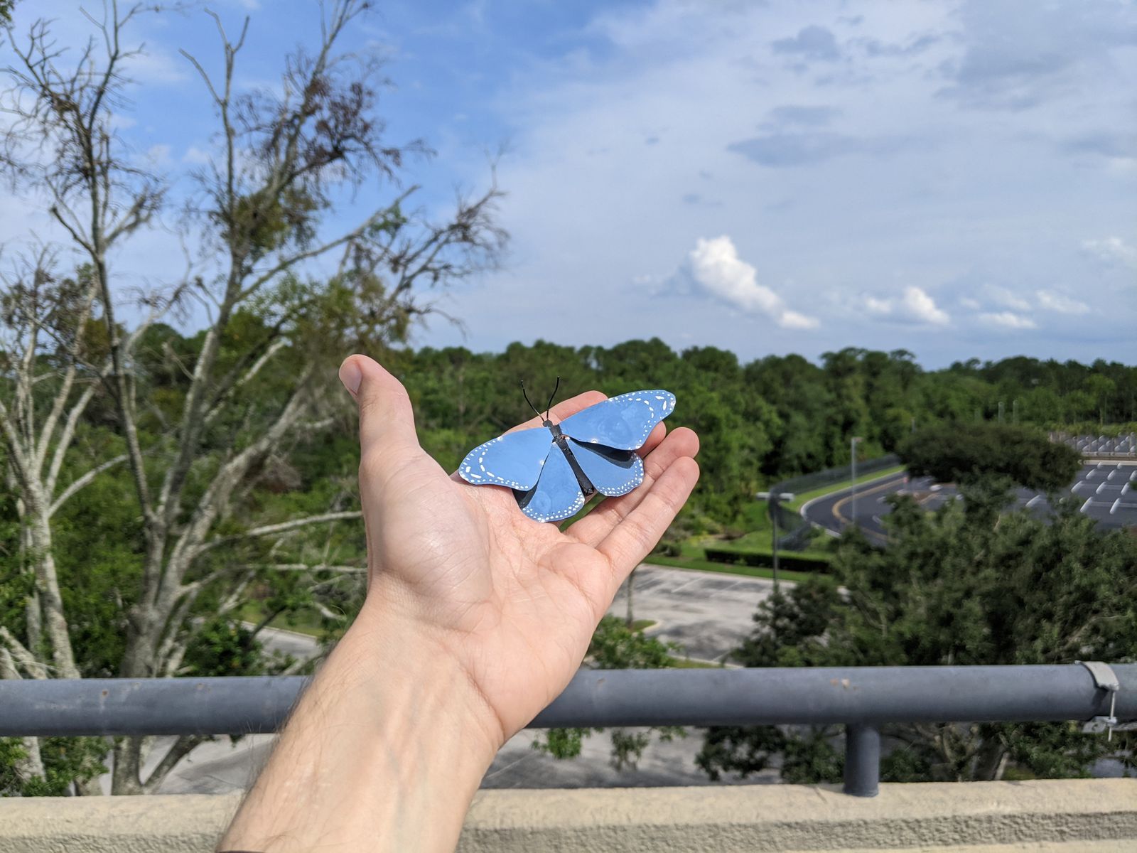 06.06.2023 | Un valencià, en l'equip de la Universitat Central de Florida que investiga una pintura ultralleugera inspirada en les ales de les papallones