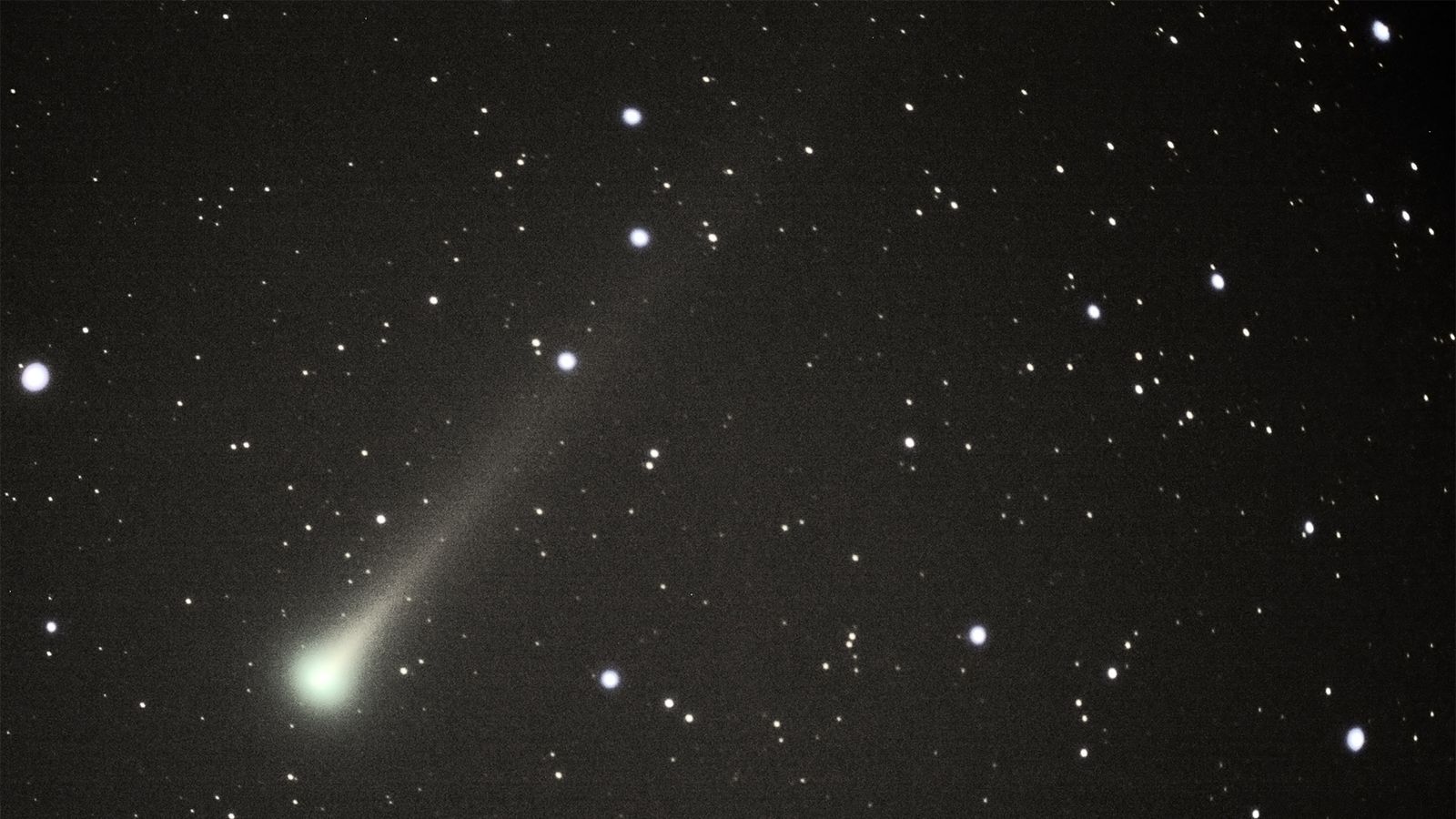 Cometa Leonard