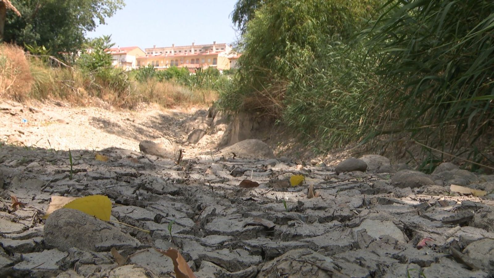 El Palància preocupa a conservadors de la natura, llauradors, paisans, visitants i institucions