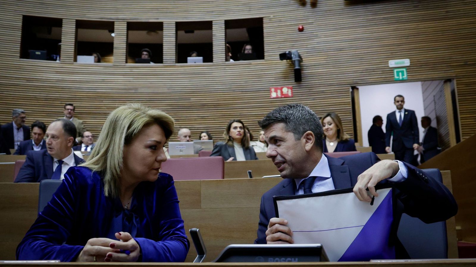 Mazón i Camarero, en l'última sessió de control a les Corts el passat febrer