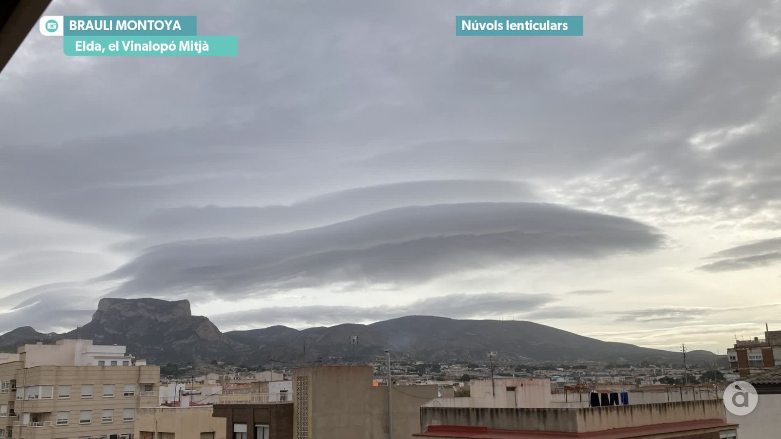 captura_2026-02-01 NIT_JAVI_F ELDA_WM