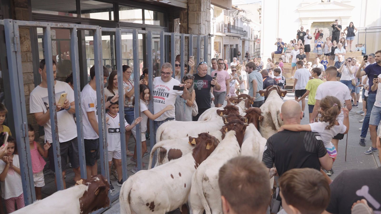 L'entrà de la ramaderia a Montserrat