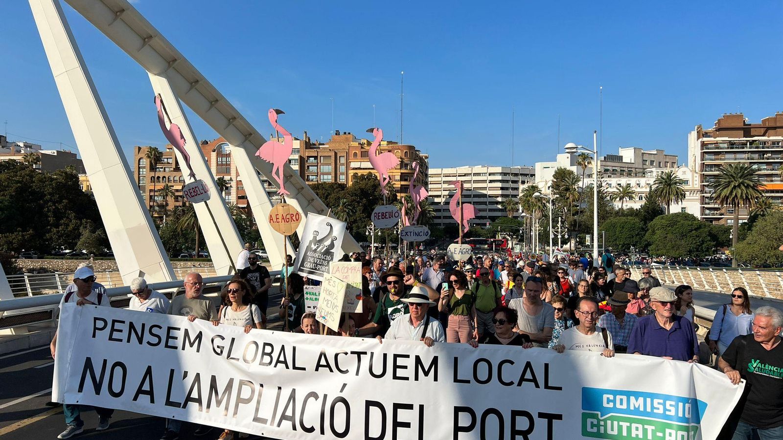 Manifestants contra l'ampliació del Port, aquesta vesprada
